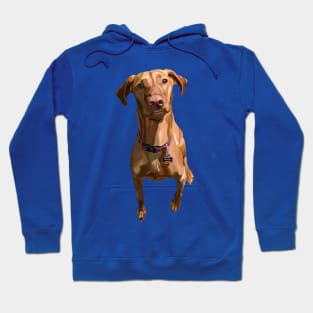 Penny the Vizsla Dog Hoodie